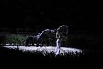 10-24-08-WIHS-919-DeRosaPhoto.jpg