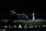 10-24-08-WIHS-924-DeRosaPhoto.jpg