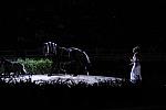 10-24-08-WIHS-939-DeRosaPhoto.jpg