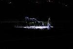 10-24-08-WIHS-945-DeRosaPhoto.jpg