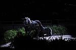 10-24-08-WIHS-946-DeRosaPhoto.jpg
