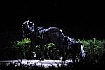 10-24-08-WIHS-949-DeRosaPhoto.jpg