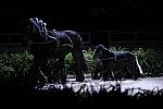 10-24-08-WIHS-953-DeRosaPhoto.jpg