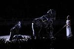 10-24-08-WIHS-959-DeRosaPhoto.jpg