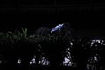 10-24-08-WIHS-968-DeRosaPhoto.jpg