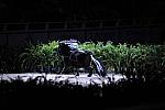 10-24-08-WIHS-984-DeRosaPhoto.jpg