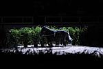 10-24-08-WIHS-985-DeRosaPhoto.jpg