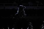 10-24-08-WIHS-989-DeRosaPhoto.jpg