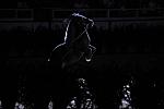 10-24-08-WIHS-992-DeRosaPhoto.jpg