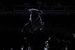 10-24-08-WIHS-994-DeRosaPhoto.jpg