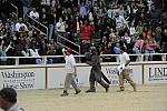 10-24-08-WIHS-1030-DeRosaPhoto.jpg