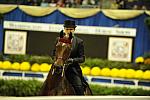 10-24-08-WIHS-508-DeRosaPhoto.jpg