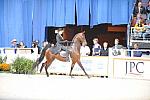 10-24-08-WIHS-520-DeRosaPhoto.jpg