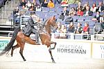 10-24-08-WIHS-525-DeRosaPhoto.jpg