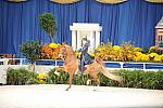10-24-08-WIHS-527-DeRosaPhoto.jpg