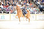 10-24-08-WIHS-528-DeRosaPhoto.jpg