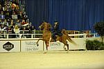 10-24-08-WIHS-531-DeRosaPhoto.jpg
