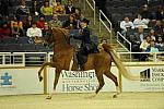 10-24-08-WIHS-534-DeRosaPhoto.jpg