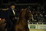 10-24-08-WIHS-536-DeRosaPhoto.jpg