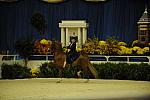10-24-08-WIHS-537-DeRosaPhoto.jpg