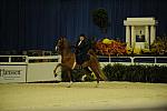 10-24-08-WIHS-539-DeRosaPhoto.jpg