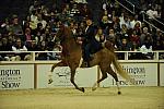 10-24-08-WIHS-545-DeRosaPhoto.jpg