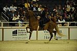 10-24-08-WIHS-546-DeRosaPhoto.jpg