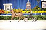 10-24-08-WIHS-548-DeRosaPhoto.jpg