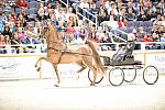 10-24-08-WIHS-549-DeRosaPhoto.jpg
