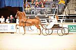 10-24-08-WIHS-551-DeRosaPhoto.jpg