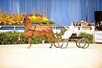 10-24-08-WIHS-552-DeRosaPhoto.jpg