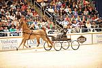 10-24-08-WIHS-553-DeRosaPhoto.jpg