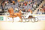 10-24-08-WIHS-558-DeRosaPhoto.jpg