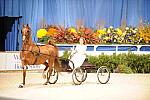 10-24-08-WIHS-560-DeRosaPhoto.jpg
