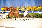10-24-08-WIHS-565-DeRosaPhoto.jpg