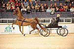10-24-08-WIHS-566-DeRosaPhoto.jpg