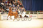 10-24-08-WIHS-567-DeRosaPhoto.jpg