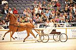 10-24-08-WIHS-569-DeRosaPhoto.jpg