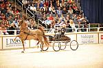10-24-08-WIHS-570-DeRosaPhoto.jpg