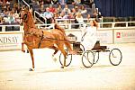 10-24-08-WIHS-571-DeRosaPhoto.jpg