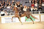 10-24-08-WIHS-576-DeRosaPhoto.jpg