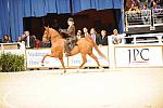 10-24-08-WIHS-583-DeRosaPhoto.jpg