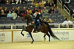 10-24-08-WIHS-589-DeRosaPhoto.jpg