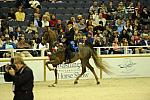 10-24-08-WIHS-590-DeRosaPhoto.jpg