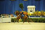 10-24-08-WIHS-593-DeRosaPhoto.jpg
