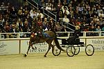 10-24-08-WIHS-602-DeRosaPhoto.jpg