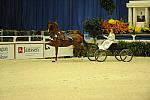 10-24-08-WIHS-604-DeRosaPhoto.jpg