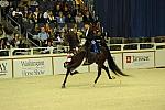 10-24-08-WIHS-606-DeRosaPhoto.jpg