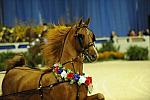 10-24-08-WIHS-622-DeRosaPhoto.jpg