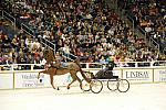 10-24-08-WIHS-624-DeRosaPhoto.jpg